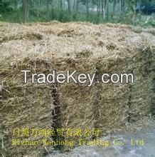 Wheat straw