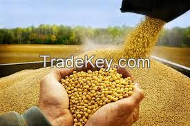 SoyBeans 