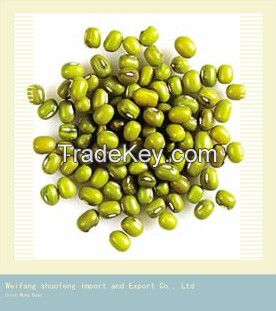 Chinese First Grade Non-GMO Green Mung Bean with competitive price