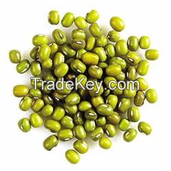 Chinese First Grade Non-GMO Green Mung Bean with competitive price