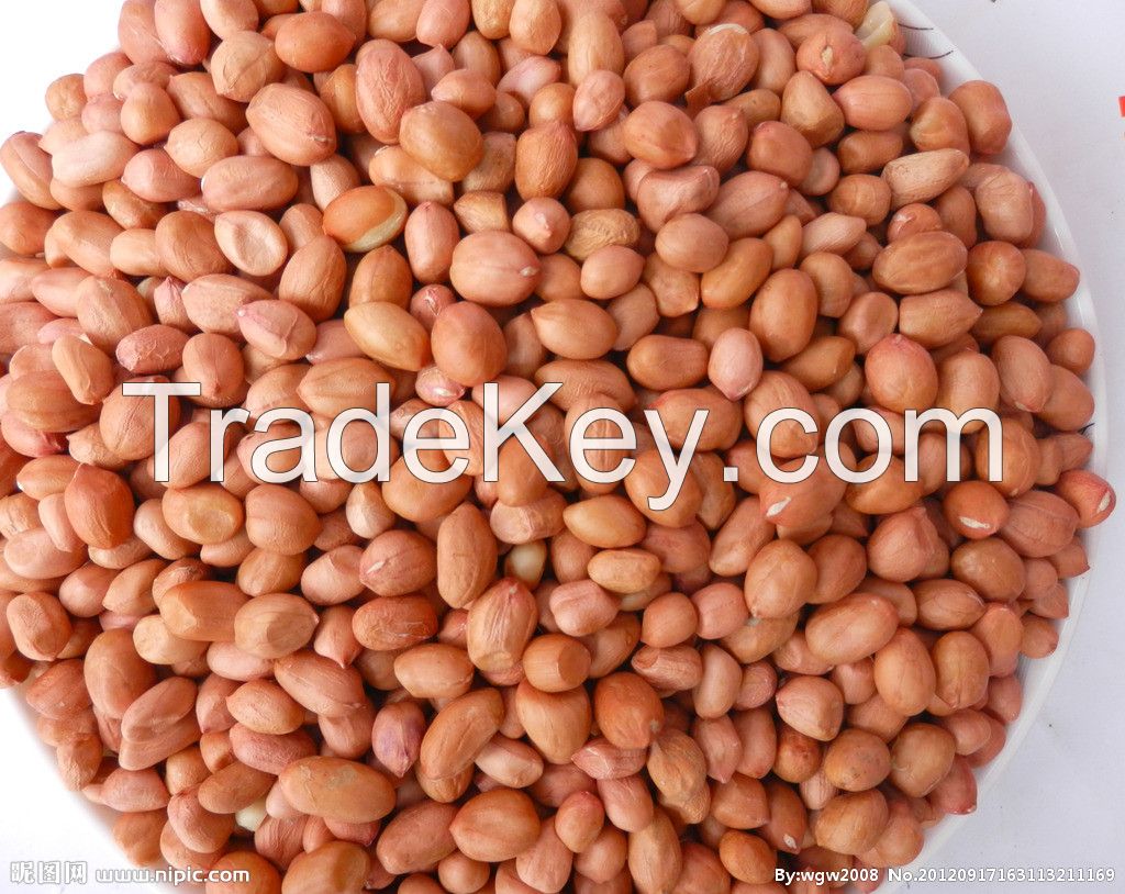 Chinese First Grade Peanut Kernels with competitive price