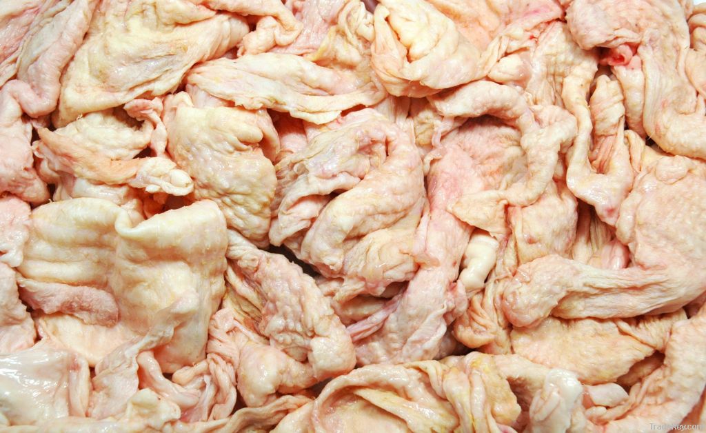 Frozen Chicken Mechanically Deboned Meat for the Processing Industry