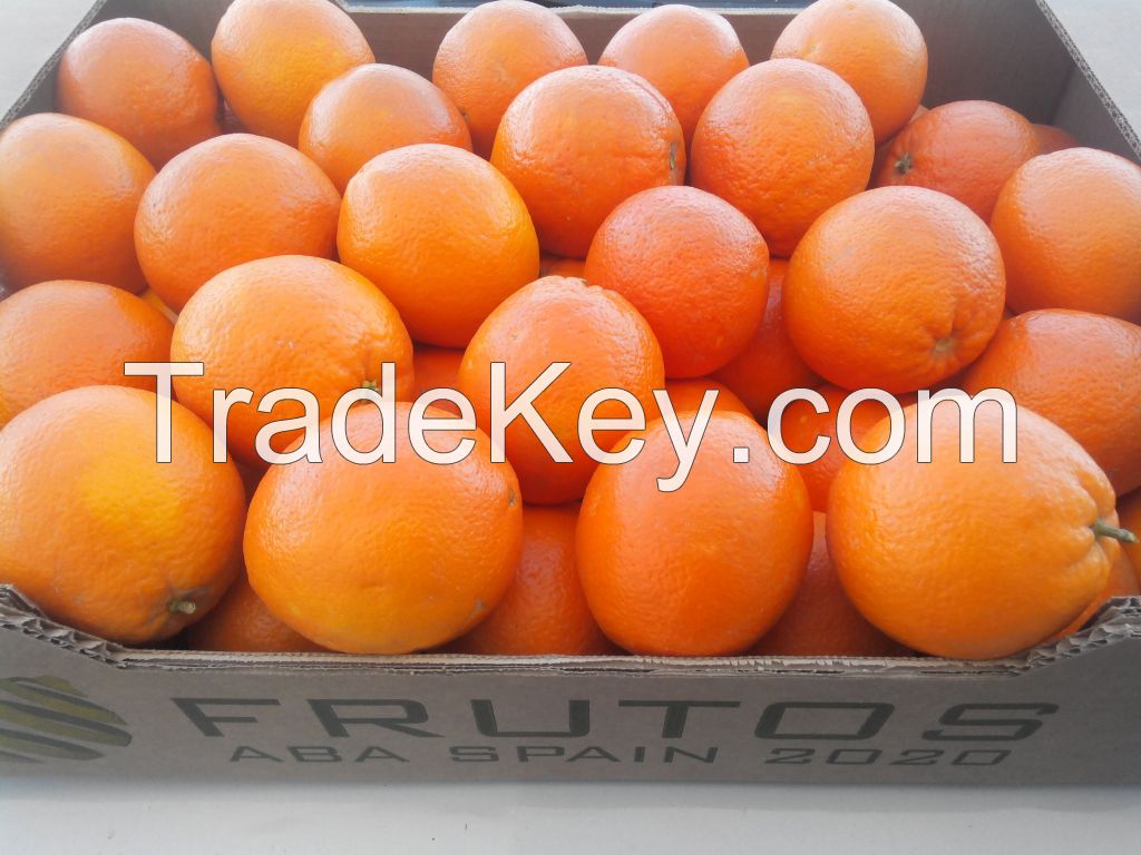 Fresh Oranges