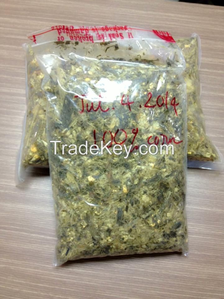 CORN SILAGE WITH GOOD PRICE