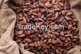 COCOA BEANS