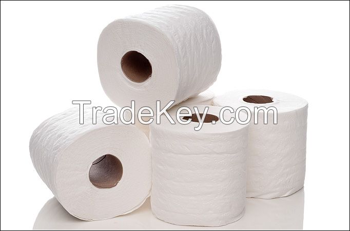 Toilet Tissue Manufacturer in Dubai