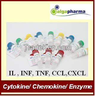 Recombinent protein (Cytokine, Chemokine, Enzyme, and other protein)
