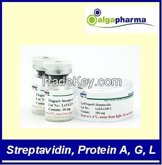 Bulk recombinent protein (Streptavidin, Protein A, Protein G, Portein L)