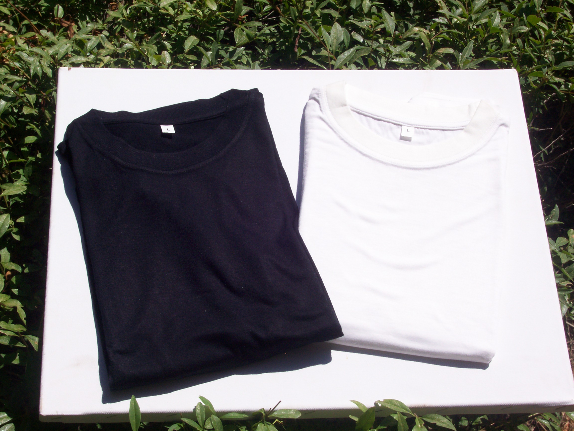 Bamboo T- Shirts