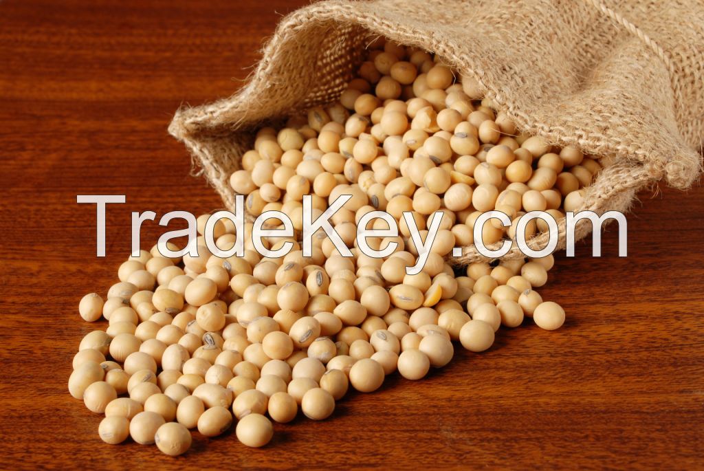 soybeans