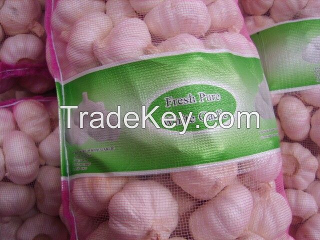 chinese pure white garlic