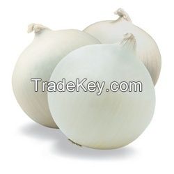 fresh white onions