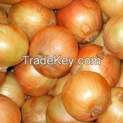 fresh yellow onions