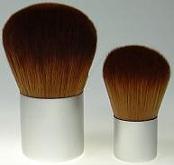 Cosmetic Brush