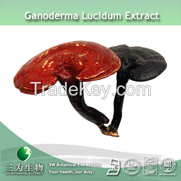 Ganoderma Lucidum Extract ( 50% olysaccharides) Used For Food Supplement