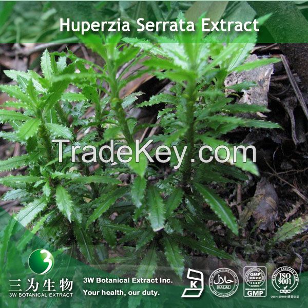 Huperzia Serrata Extract(1% Huperzine A)  For Drug Use