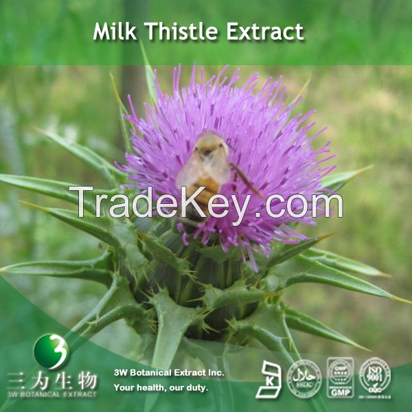 Milk Thisthle Extract (80% Silymarin UV) In Hot Selling 