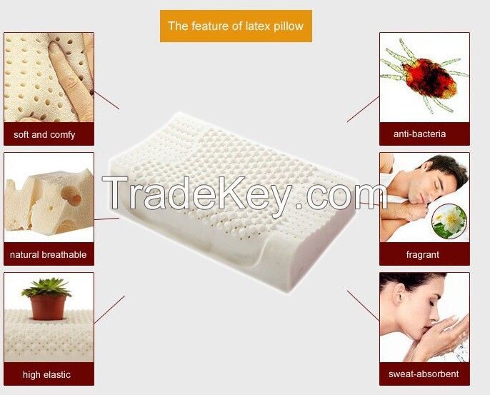 natural latex pillow