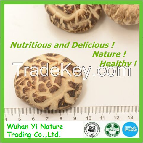 Dried Shiitake Mushroom From China