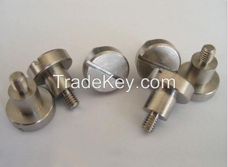 Stainless Steel Screws