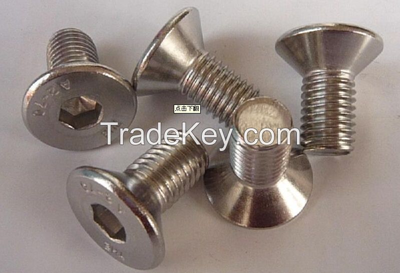 Stainless Steel Screws