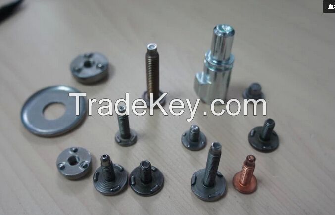 Customized Special Fastener