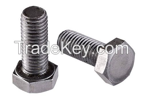 High Quality Hex Bolt From Factroy