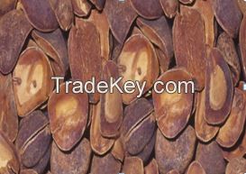 KOLA NUTS