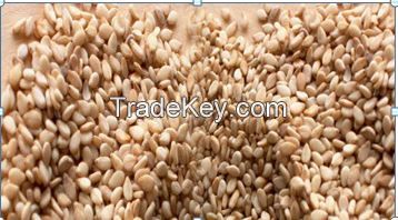 NATURAL SESAME SEED