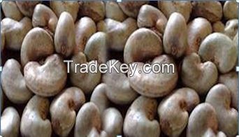 RAW CASHEW NUTS IN SHELL