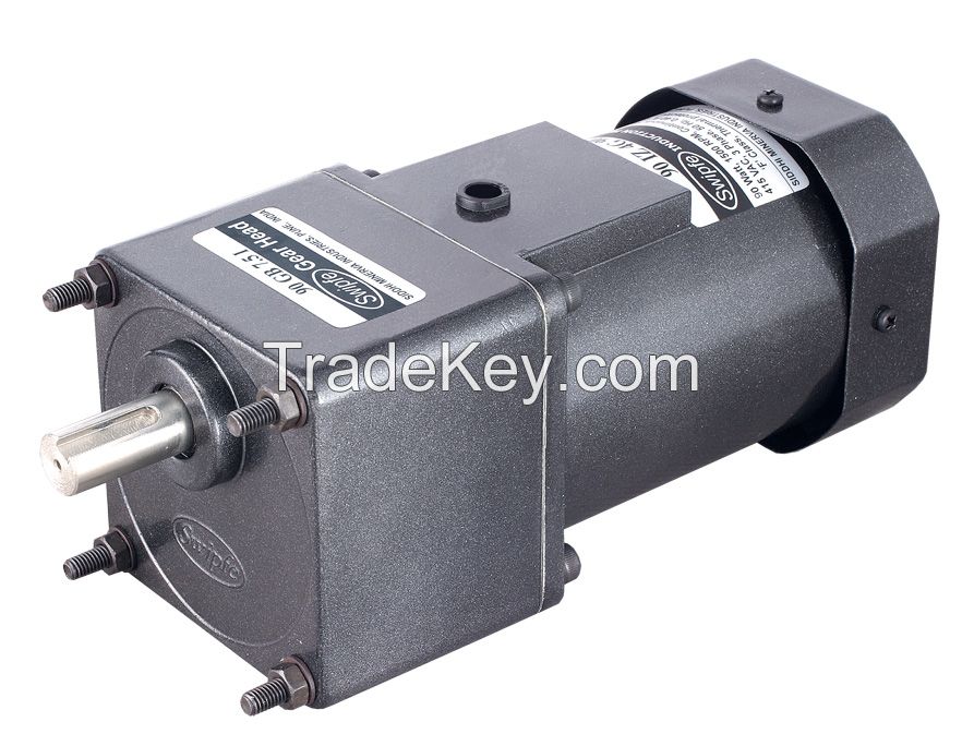 Induction Motor 180 watt