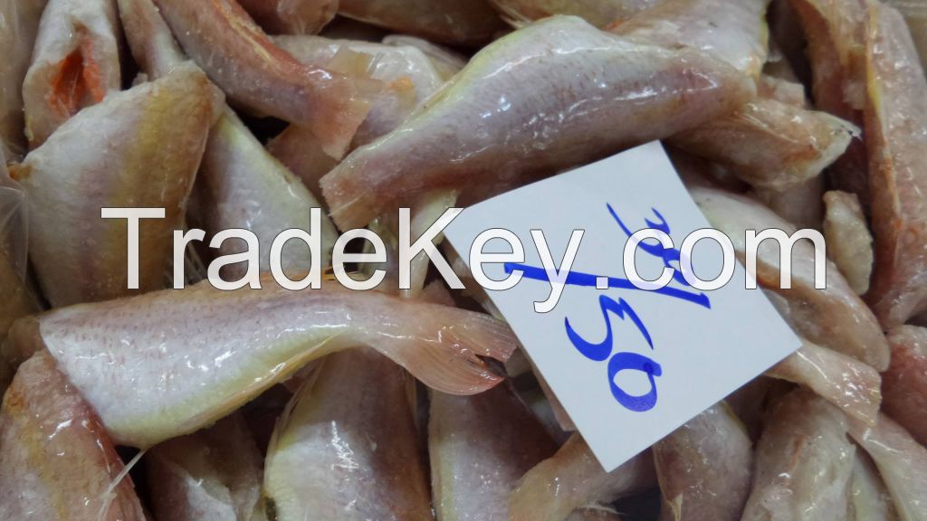 Frozen Japanese Thread Fin Bream ( HGT, I.Q.F )