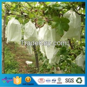 Agriculture Biodegradable Non Woven Protect Fruit Bag