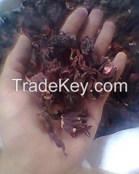 Dried Hibiscus Flower