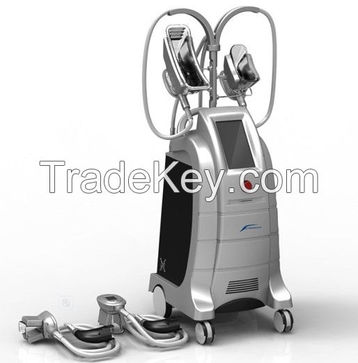 4 handles Cryolipolysis Machine