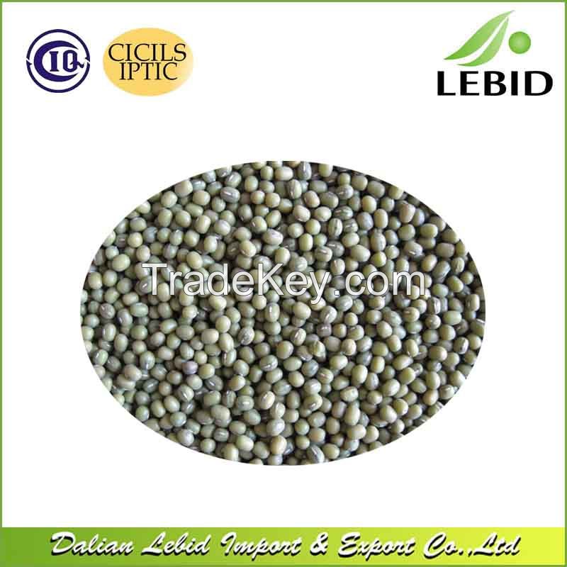 High Quality Dried Style Green Mung Beans