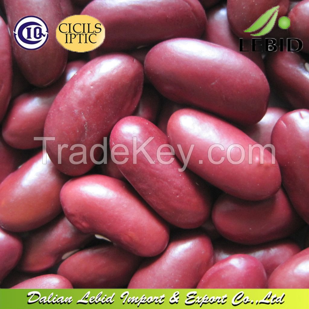 High Quality Red Beans Dark Red Kidney Beans