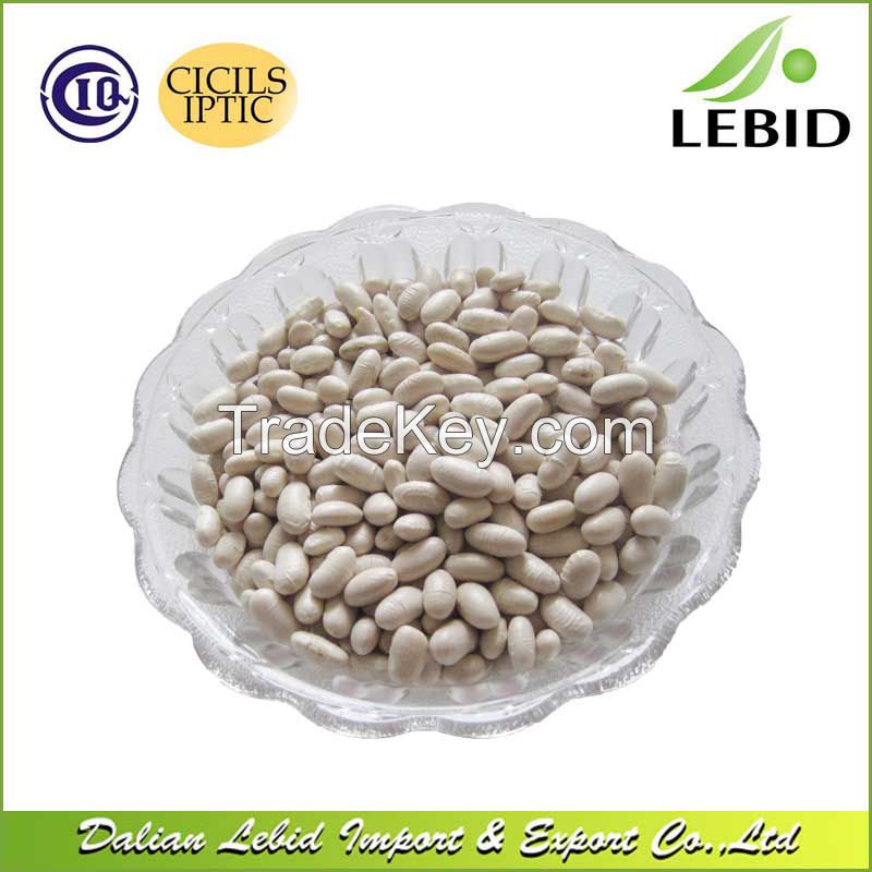 New Crop White Kidney Beans Spanish Type