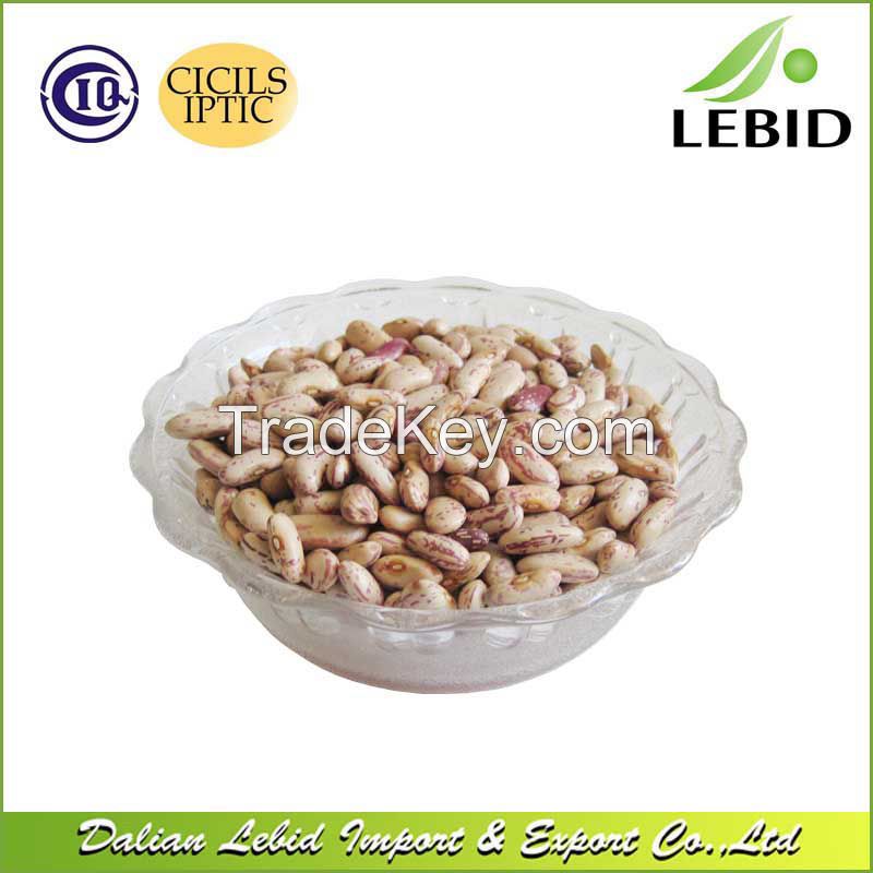 High Quality Light Speckled Kidney Beans Long Shape