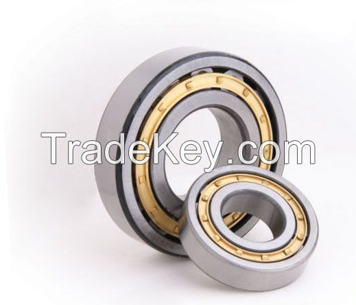 Cylindrical Roller Bearings