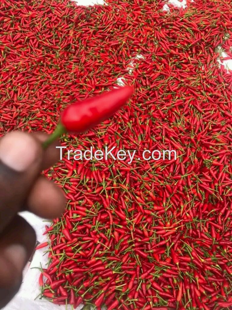 Bird's Eye Chillies