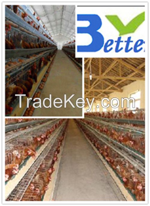 hot-sale good quality poultry farm layer chicken cage