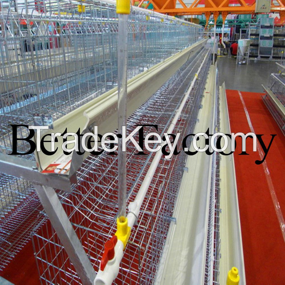 hot-sale good quality poultry farm layer chicken cage