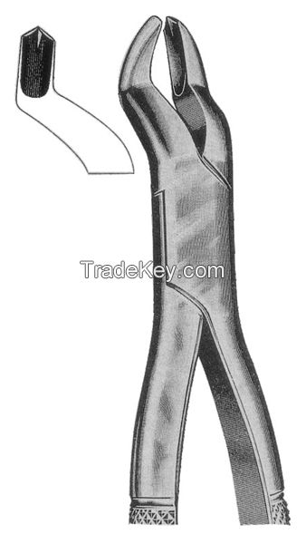 Tooth Extracting Forceps American Patterns