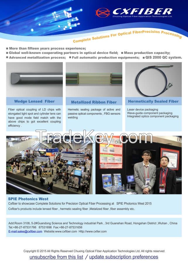 High precision optical processing - fiber with lens