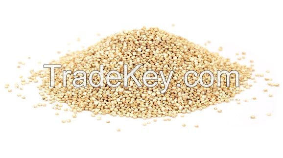 Quinoa White Premium 25KG Bulk