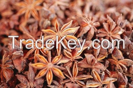 Star anise spices/ seasoning
