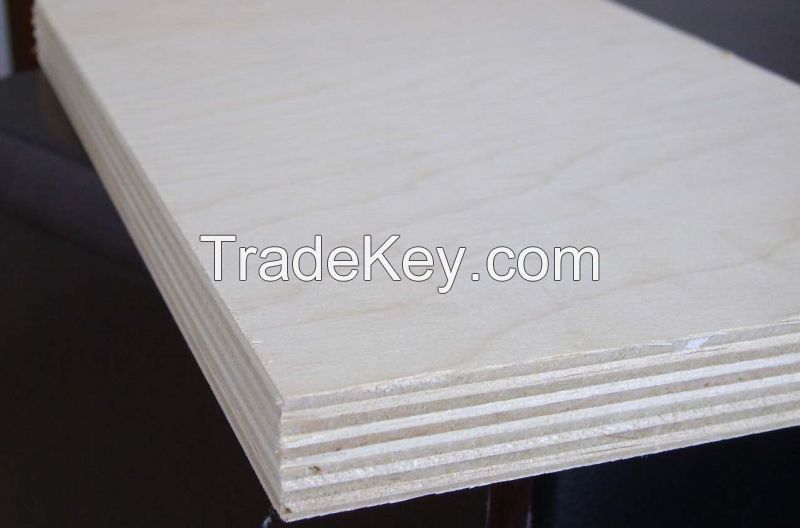 Birch Core Plywood with Good Quality