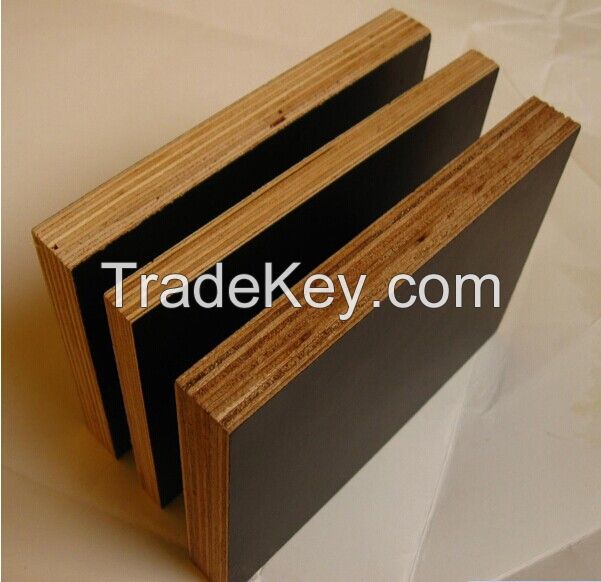 Best Quality Marine Plywood