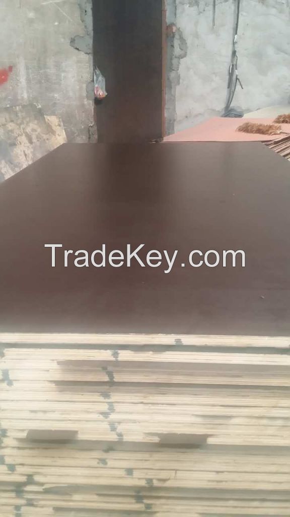 best quality film faced plywood